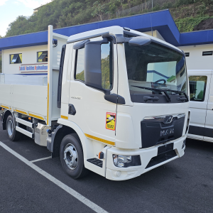 CAMION PLATEAU